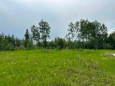 Secluded acreage for rent in Manning area - Photo 4