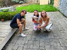 Dog Sitting and Walking