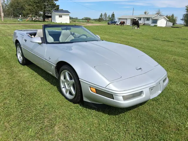 1996 Collector's Edition Corvette - Photo 2