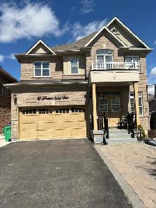 Basement Apartment for Rent in Brampton