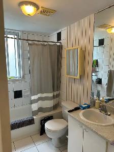 3 1/2 for rent near UdeM - Photo 4