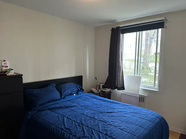 3 1/2 for rent near UdeM - Photo 5