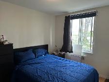 3 1/2 for rent near UdeM - Photo 5
