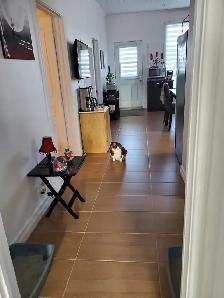Appartement à Louer à Shawinigan. - Photo 2