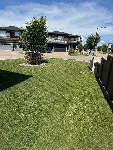 lawn mowing job opportunity