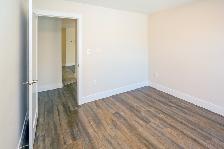 3569 Dutch Village Road - 1 Bedroom for Rent in Halifax - Photo 6