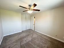 Ground Floor Seniors Apartment - Photo 7