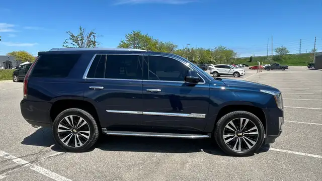 2017 Cadillac Escalade - Photo 7