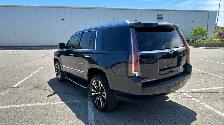 2017 Cadillac Escalade - Photo 10