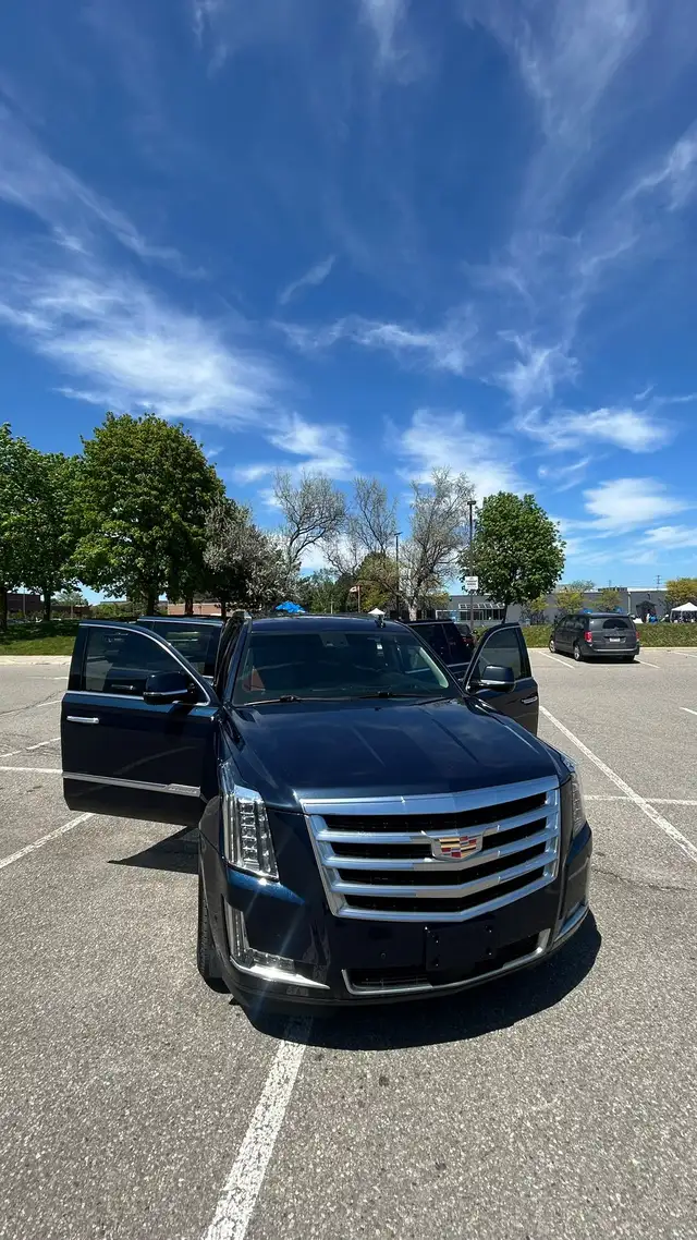 2017 Cadillac Escalade - Photo 13