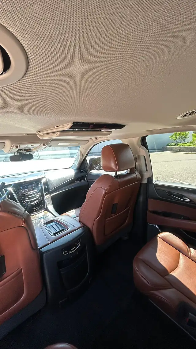 2017 Cadillac Escalade - Photo 20