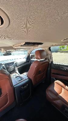 2017 Cadillac Escalade - Photo 20