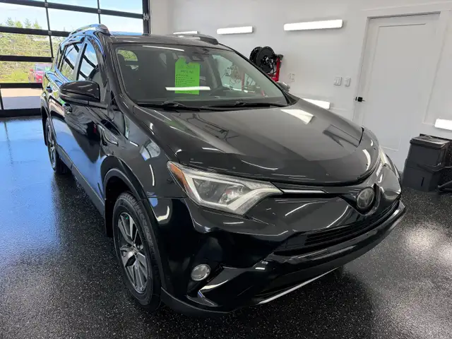 2018 Toyota RAV4 XLE All Wheel Drive - Photo 6