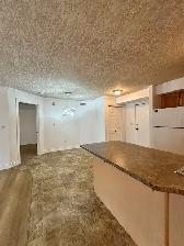 RiverWalk Villas - Recently Renovated 2 Bed 2 Bath Apartment - Photo 6