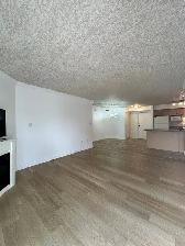 RiverWalk Villas - Recently Renovated 2 Bed 2 Bath Apartment - Photo 11