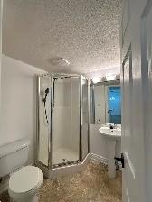 RiverWalk Villas - Recently Renovated 2 Bed 2 Bath Apartment - Photo 14