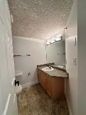 RiverWalk Villas - Recently Renovated 2 Bed 2 Bath Apartment - Photo 17