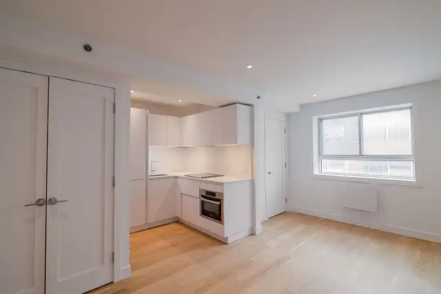 renovated studio near Blvd Saint-Laurent/ Plateau - ID 170