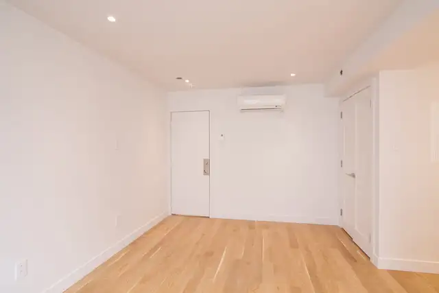 renovated studio near Blvd Saint-Laurent/ Plateau - ID 170 - Photo 2