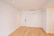 renovated studio near Blvd Saint-Laurent/ Plateau - ID 170 - Photo 2