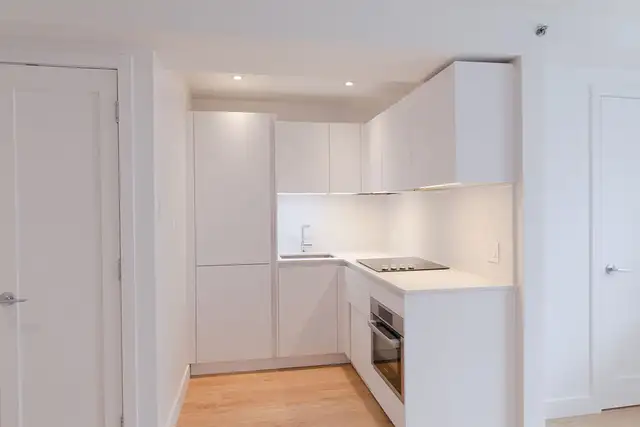 renovated studio near Blvd Saint-Laurent/ Plateau - ID 170 - Photo 3