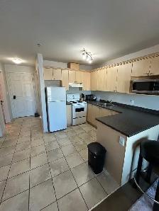 607-8528 Manning Ave - Photo 3