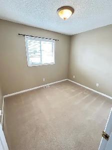 117 Campbell Crescent - Photo 11