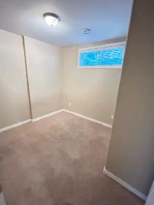 117 Campbell Crescent - Photo 14