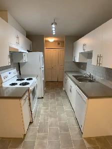 1325-201 Abasand Dr