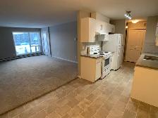 1325-201 Abasand Dr - Photo 3