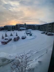 1325-201 Abasand Dr - Photo 13