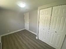 34 Greer Street Unit 2 (Lower) - 2 bed, 1 bath - 2(Lower) Apartm - Photo 13