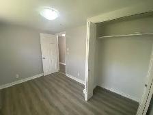 34 Greer Street Unit 2 (Lower) - 2 bed, 1 bath - 2(Lower) Apartm - Photo 14