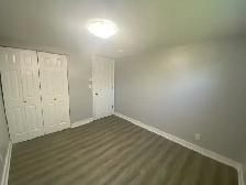 34 Greer Street Unit 2 (Lower) - 2 bed, 1 bath - 2(Lower) Apartm - Photo 16