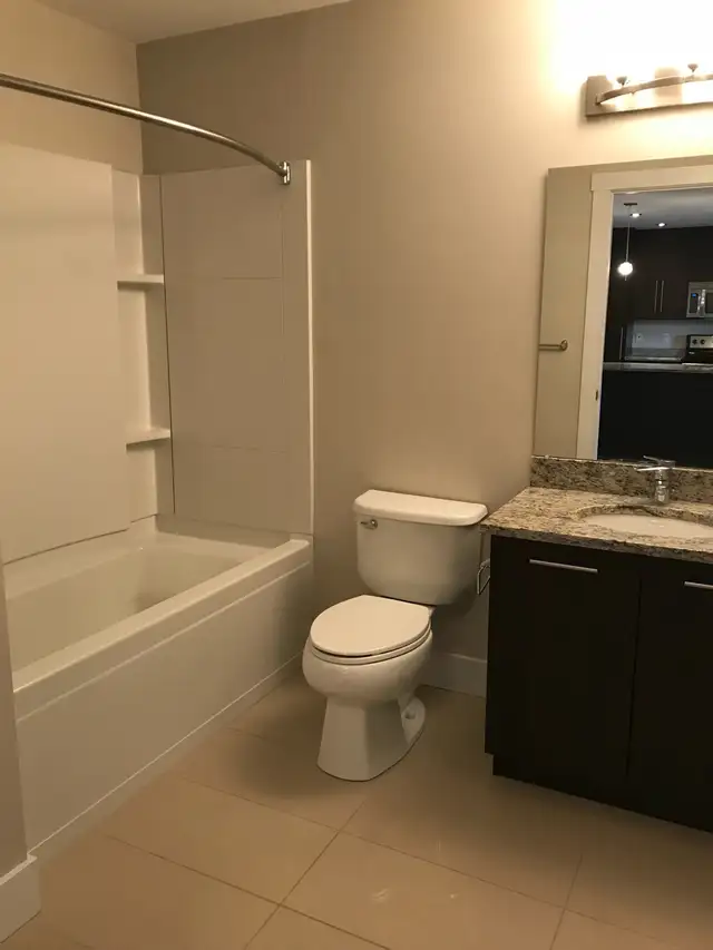 Two Bedroom   Flex Room   Two Bathroom - Top Floor-July 1st - Photo 6