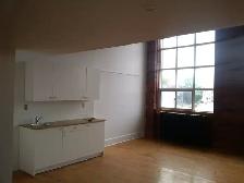 Open Concept Loft, 15 foot ceiling, Live/Work Studio - Photo 3