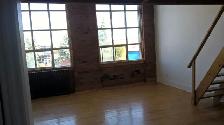 Open Concept Loft, 15 foot ceiling, Live/Work Studio - Photo 18