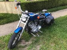 hundred anniversary 03 Harley Davidson Hunger 1200