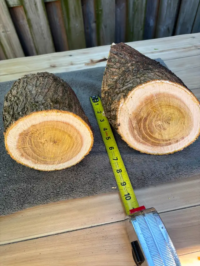 2 Natural Wood Logs 6