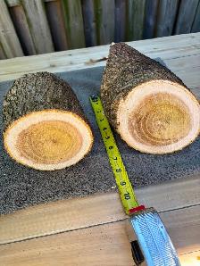 2 Natural Wood Logs 6