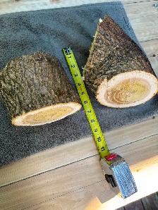2 Natural Wood Logs 6 - Photo 2