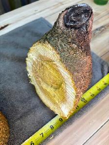 2 Natural Wood Logs 6 - Photo 5
