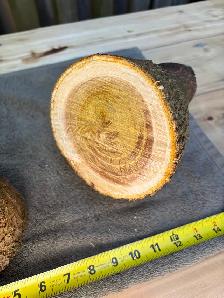 2 Natural Wood Logs 6 - Photo 8