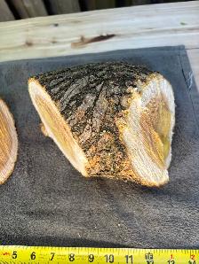 2 Natural Wood Logs 6 - Photo 9