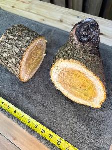 2 Natural Wood Logs 6 - Photo 10