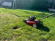 Great Quantum mower ! !