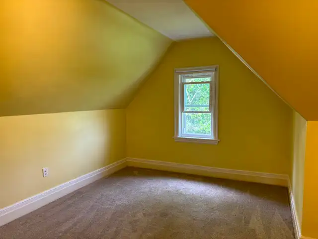 Beautiful Large 1 Bedroom Apartment With Treetop Views