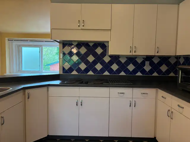 Beautiful Large 1 Bedroom Apartment With Treetop Views - Photo 3