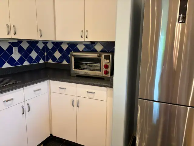 Beautiful Large 1 Bedroom Apartment With Treetop Views - Photo 4