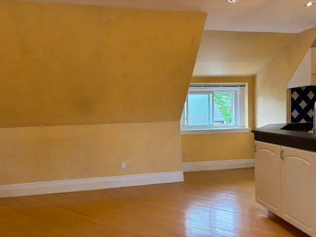Beautiful Large 1 Bedroom Apartment With Treetop Views - Photo 9